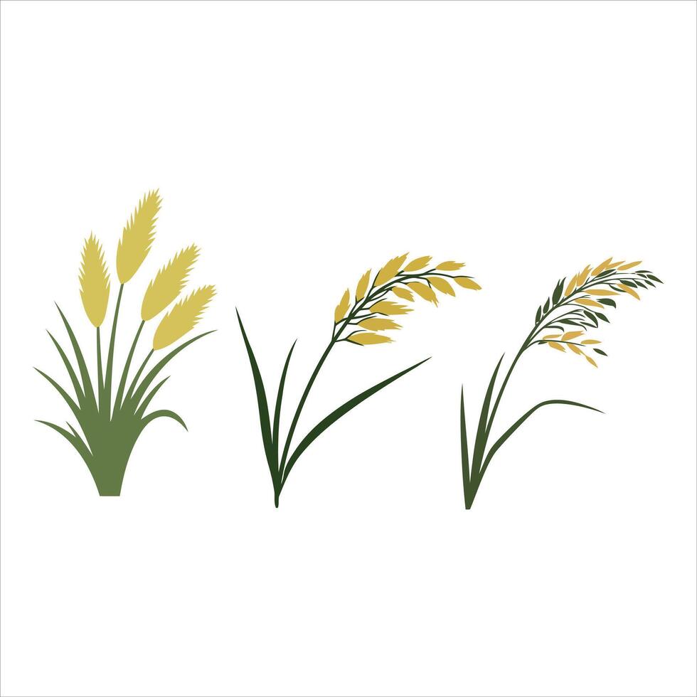 Stylized depiction of three different wheat or grass stalks vector