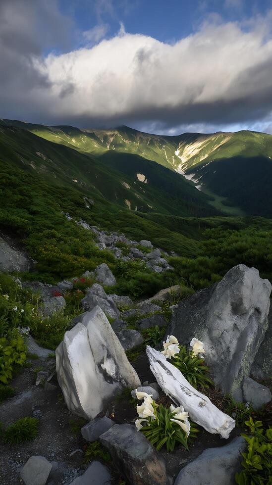 Serene Mountain Landscape with White Flowers and Rocks. A breathtaking view of a tranquil mountain scene. photo