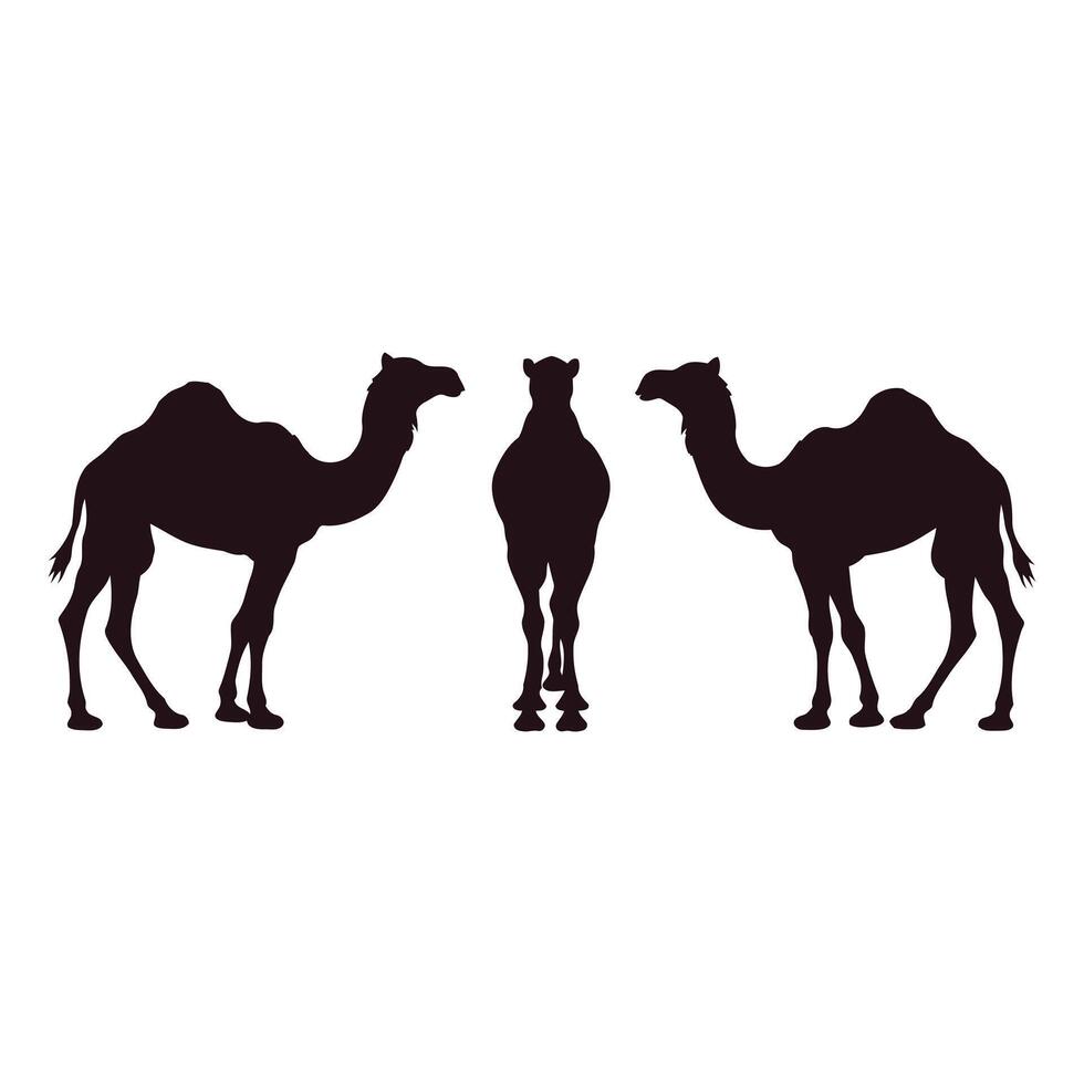 Three silhouette camels facing different directions on white background vector