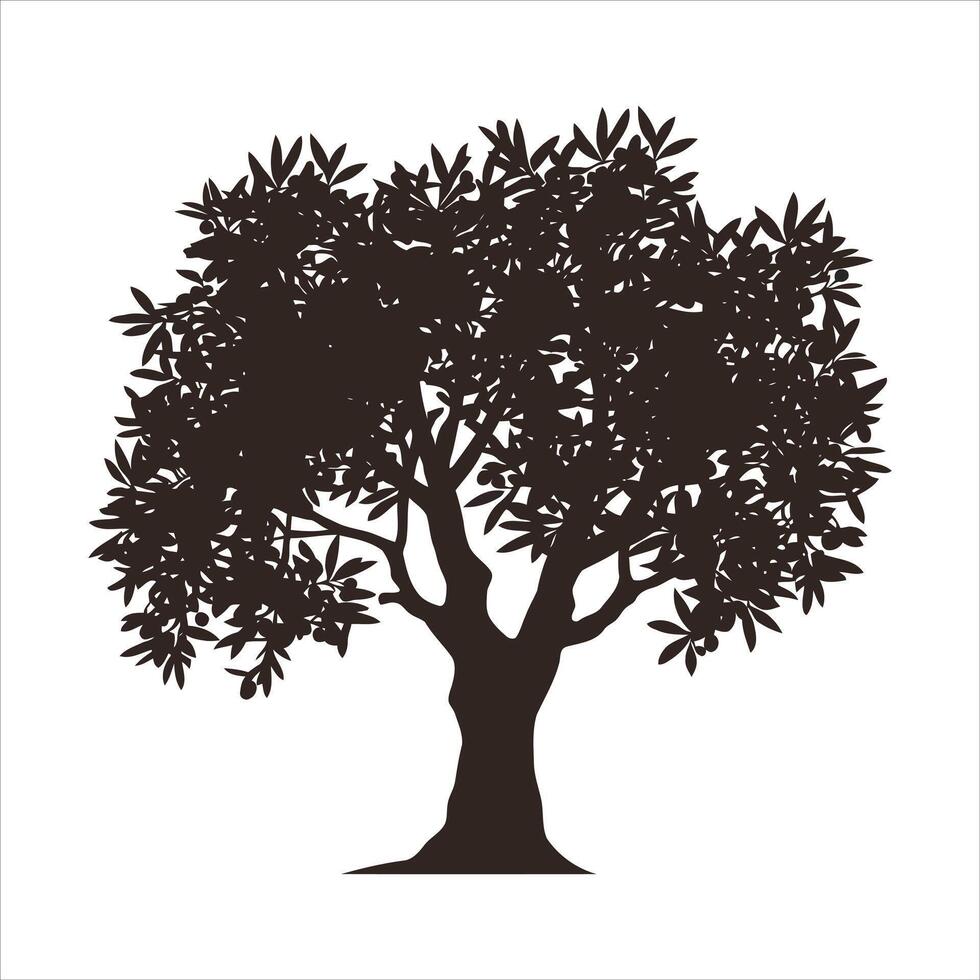 Silhouette of a mature olive tree with abundant fruit on a white background vector