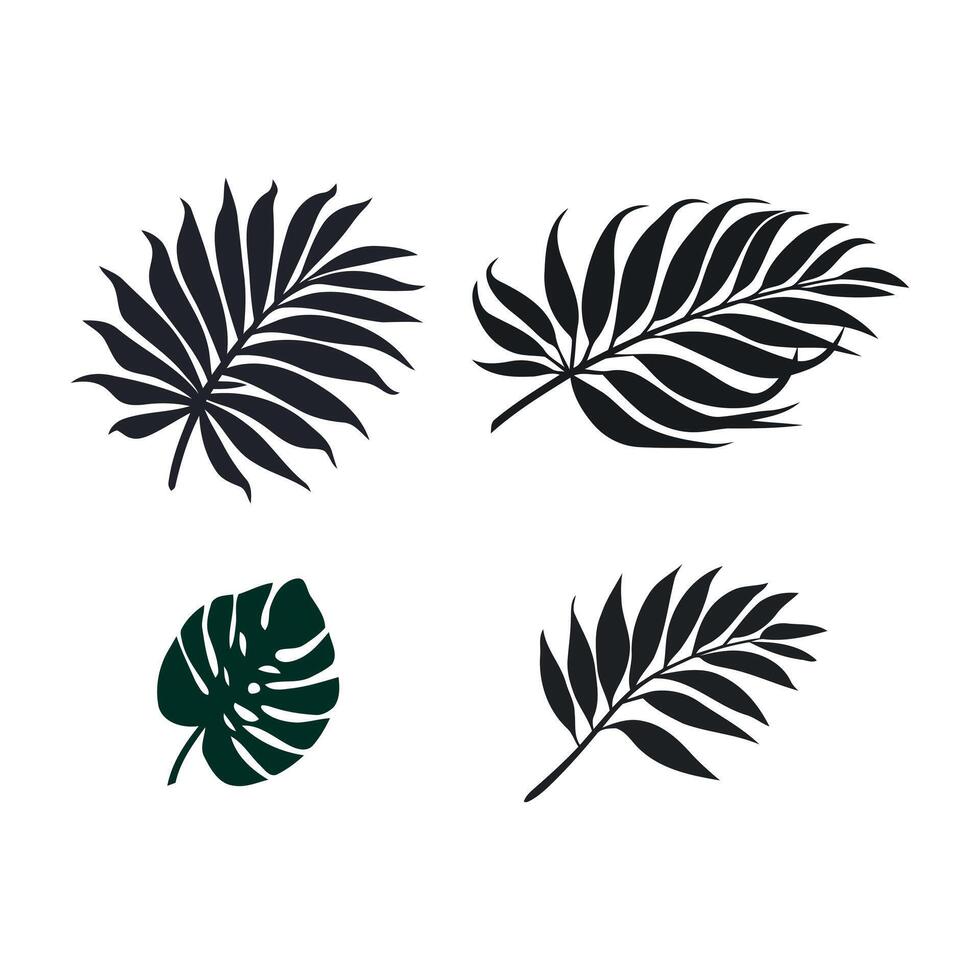 Collection of stylized tropical leaf silhouettes on a white background vector