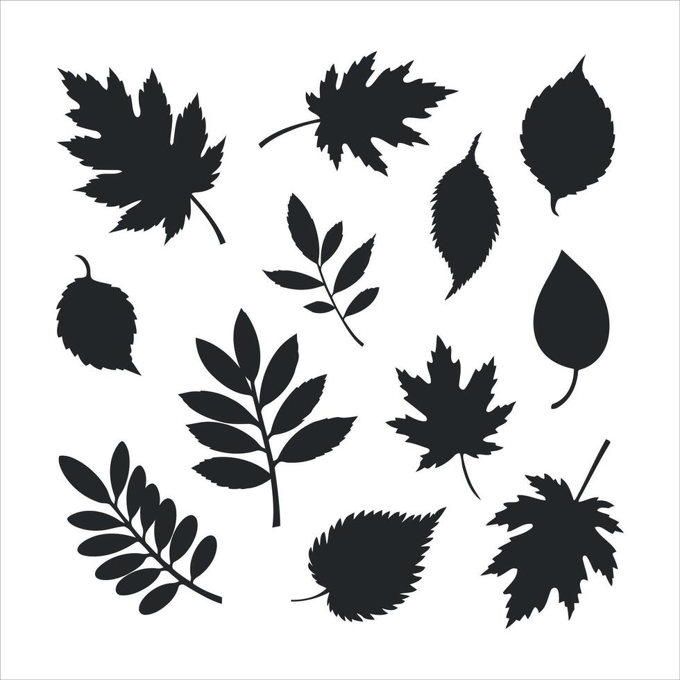 Collection of black silhouette autumn leaves and branches on white background vector