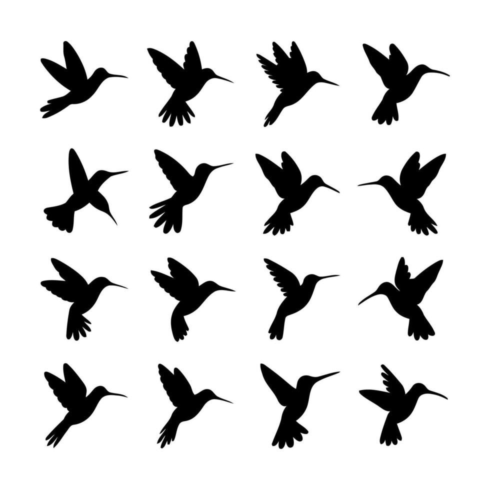 Collection of black hummingbird silhouettes in various flight poses vector