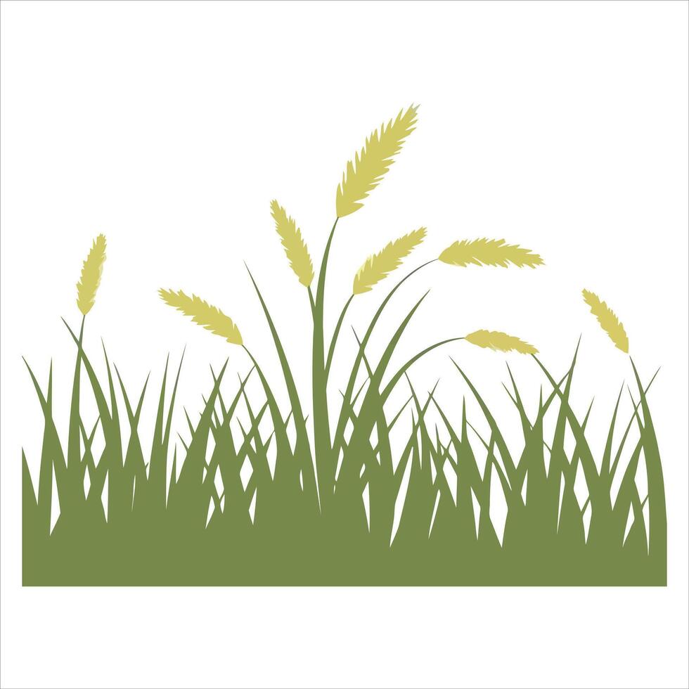 Stylized green grass with yellow feathery seed heads against a white background vector