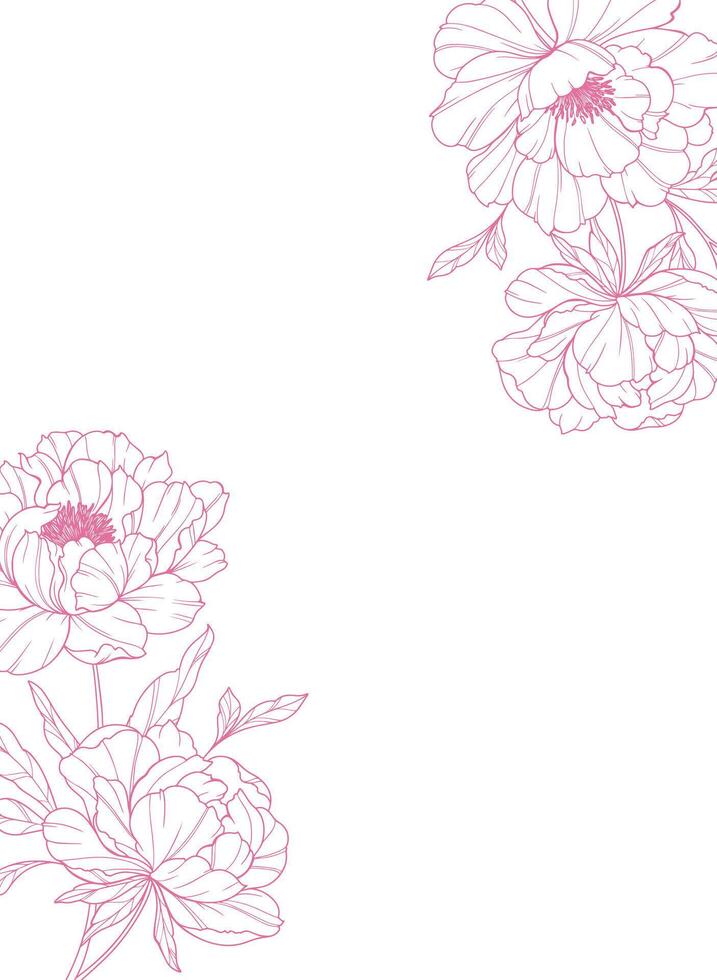 Peony Corners Line Art. Trendy floral peony bouquets and flowers. Botanical Line Drawing Peony Collection. Hand drawn line art peony flowers. Luxury Line Floral Art. Peony Outline vector