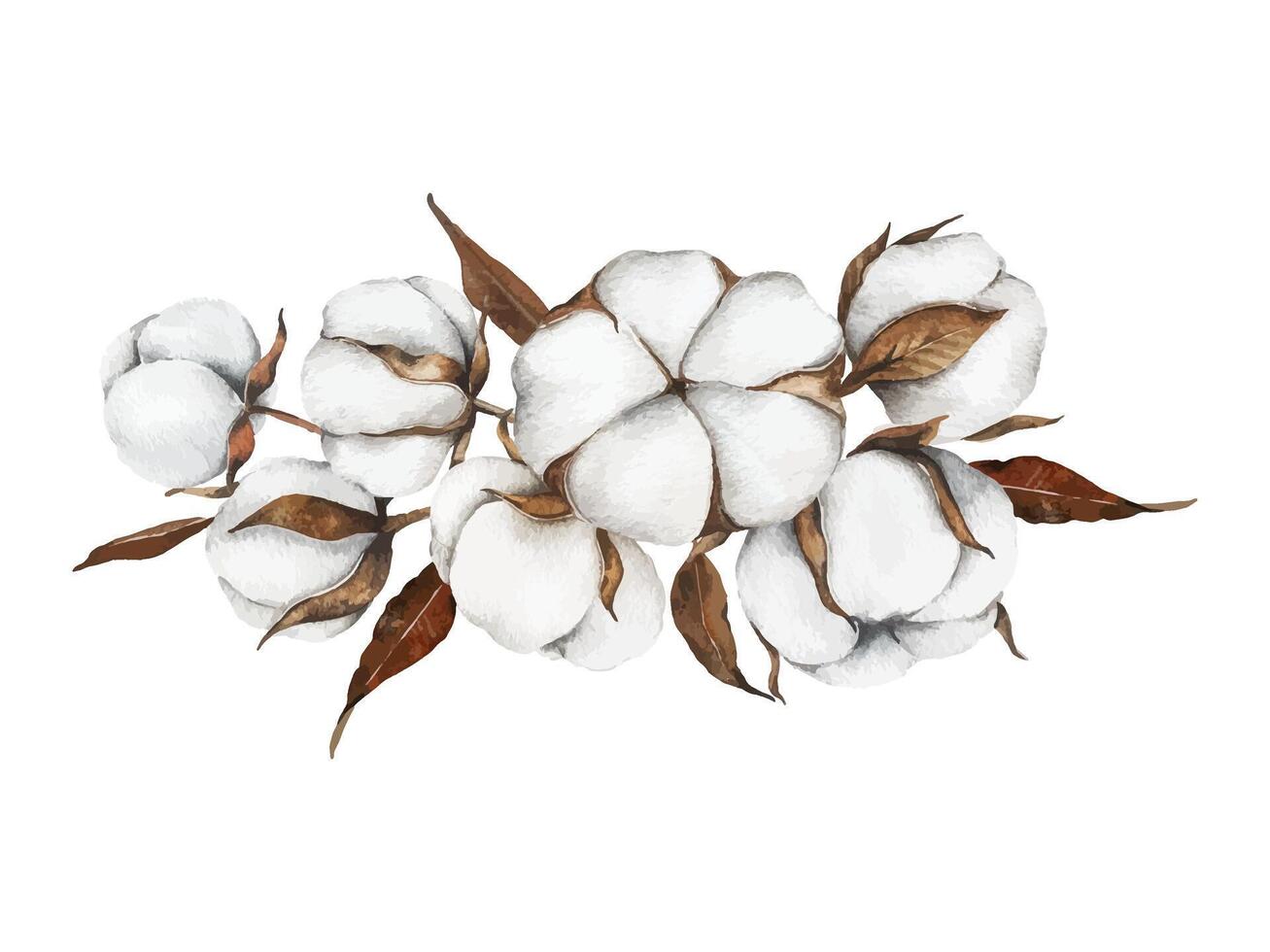 Illustration of cotton plants with leaves vector