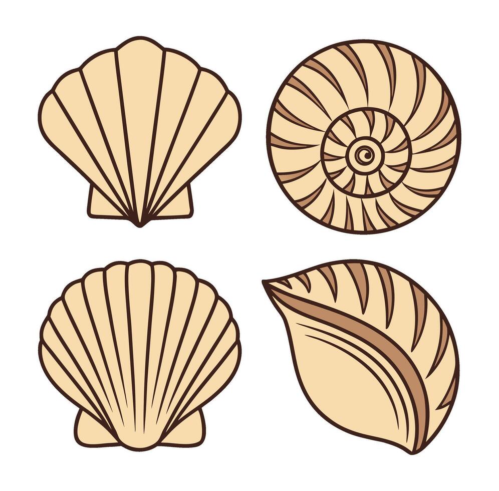 Collection of Four Stylized Seashell Illustrations with Brown Outlines Featuring Scallop Shells and a Spiraled Nautilus Shell Isolated on White Background for Design Elements vector