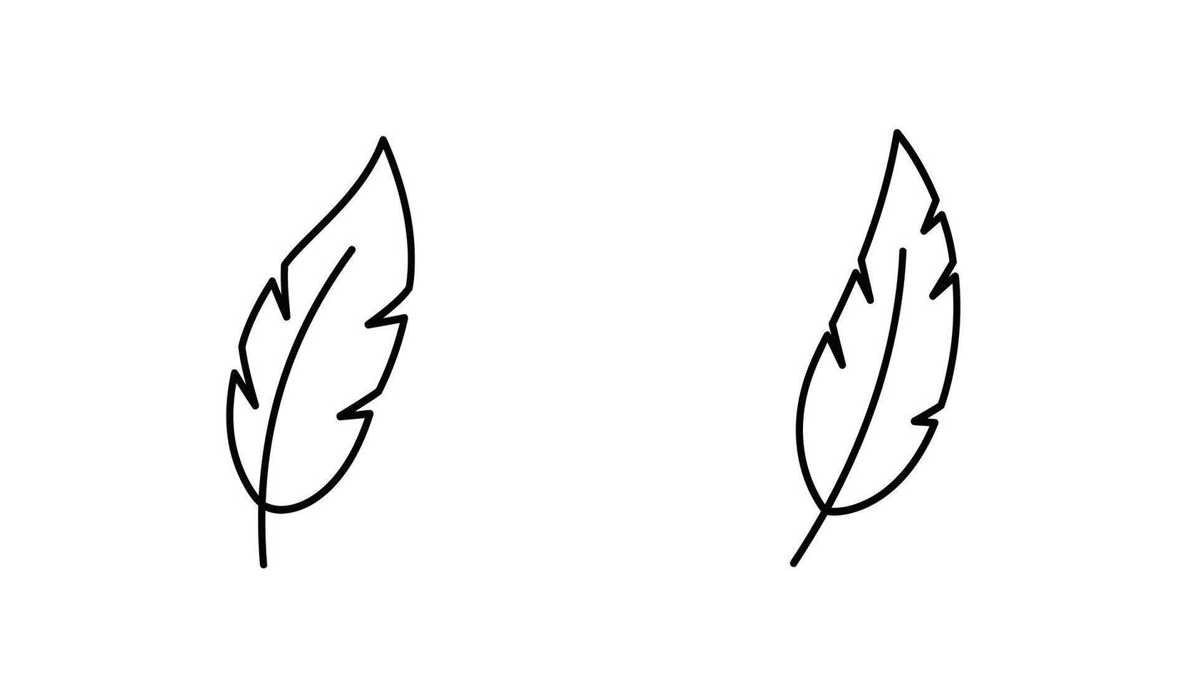Two feather feathers are drawn in black and white vector