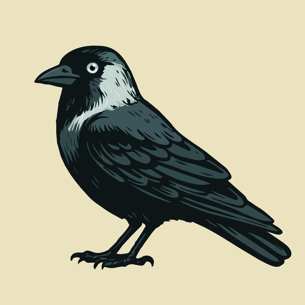 An illustration of a Western jackdaw illustration. The bird is depicted from the side. Fierce eye.Light yellow background vector