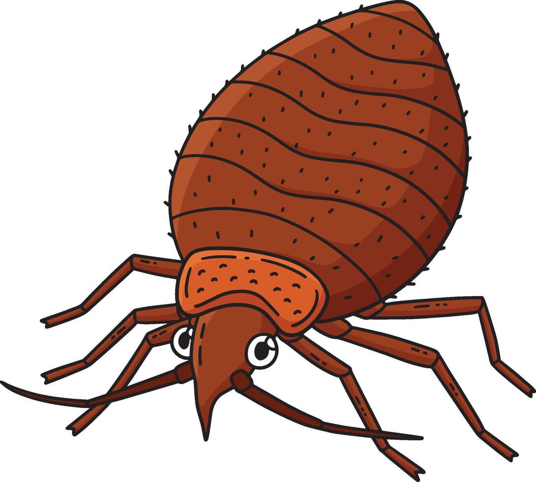 Insect Bed Bug Animal Cartoon Colored Clipart vector