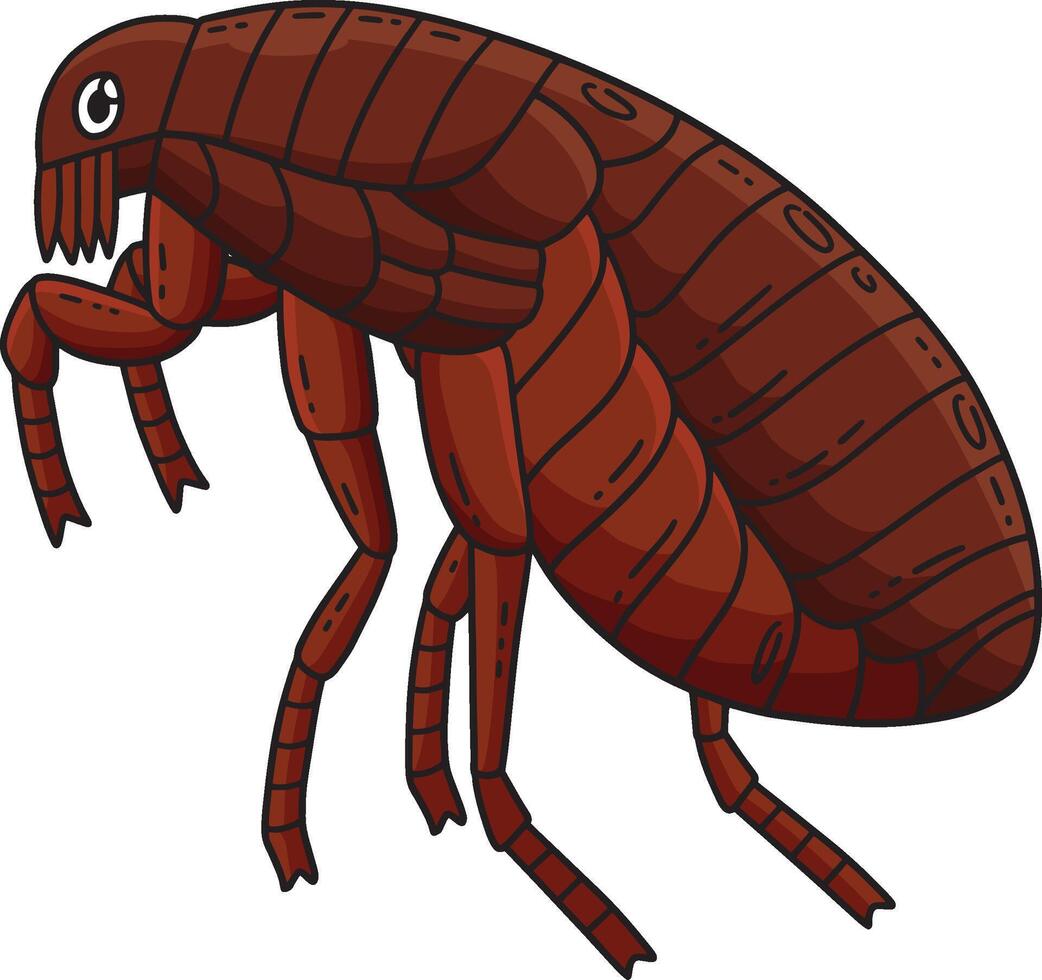 Insect Flea Animal Cartoon Colored Clipart vector