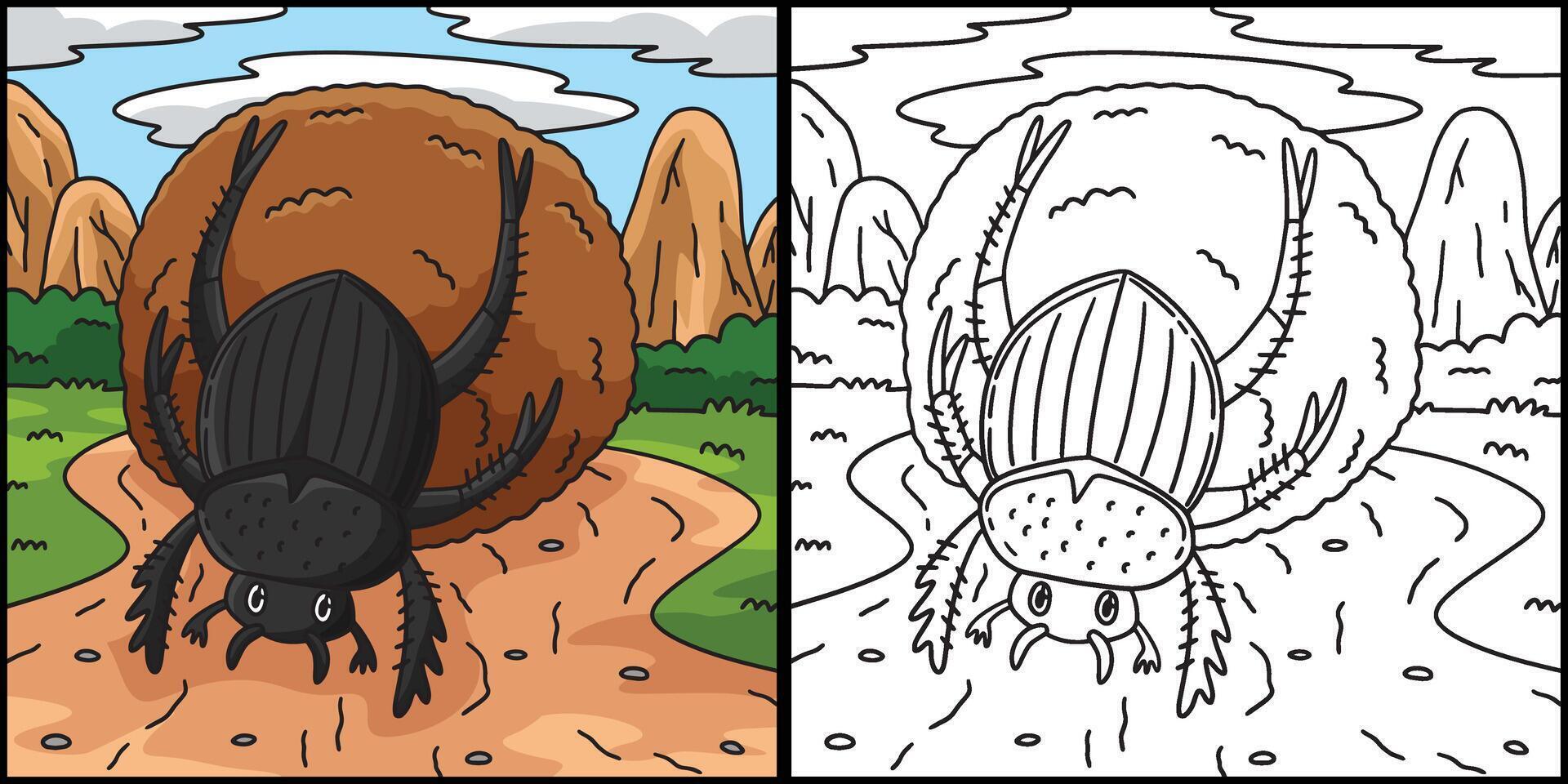 Insect Dung Beetle Animal Colored Illustration vector