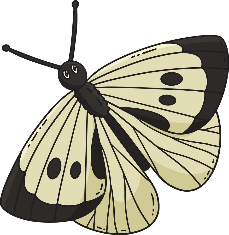 Insect Cabbage White Butterfly Cartoon Clipart vector
