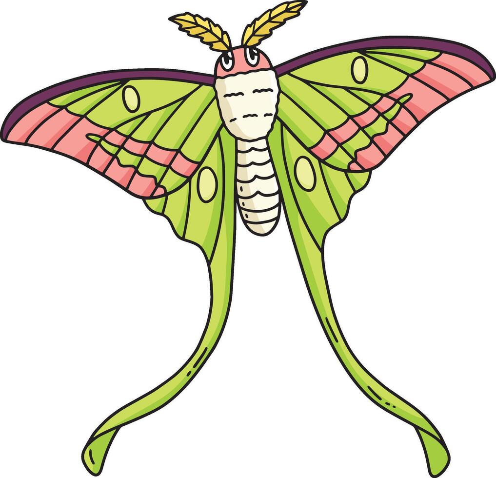 Insect Luna Moth Animal Cartoon Colored Clipart vector