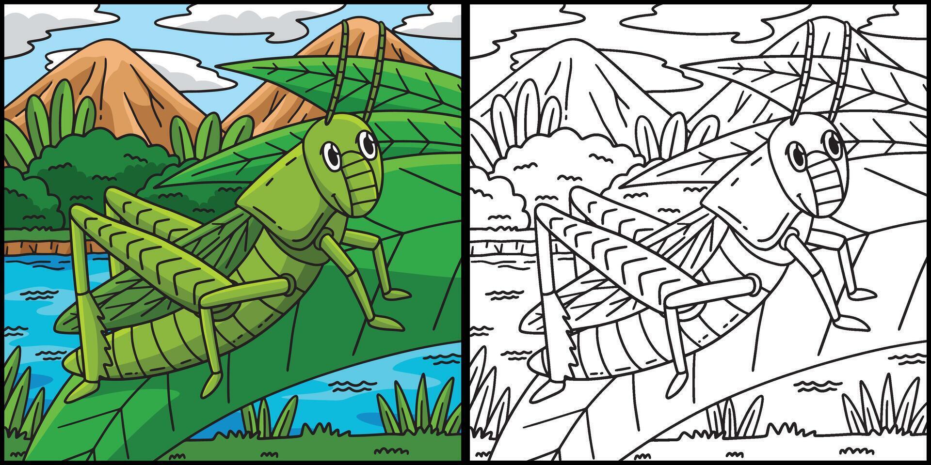 Insect Grasshopper Animal Colored Illustration vector