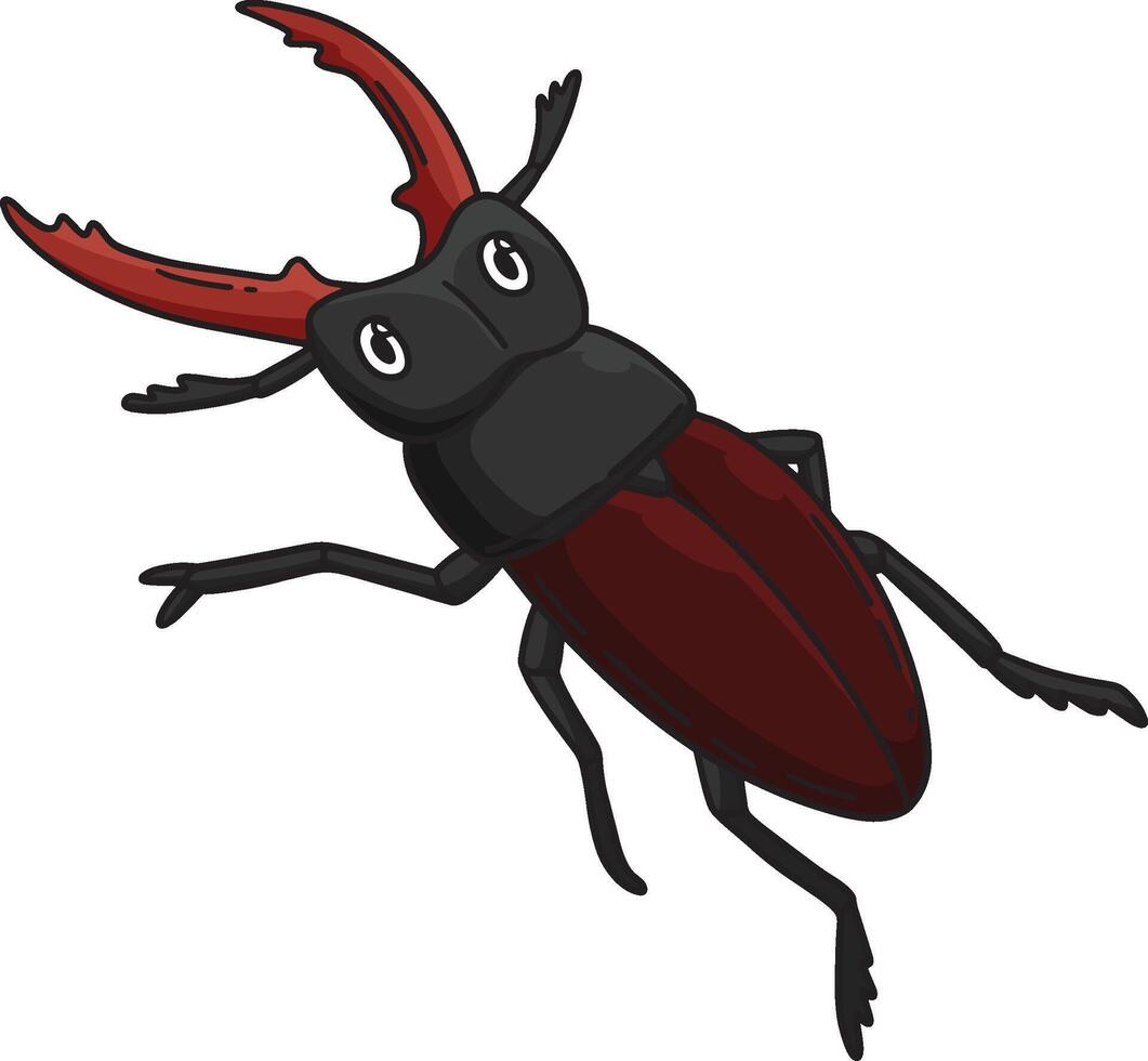 Insect Stag Beetle Animal Cartoon Colored Clipart vector