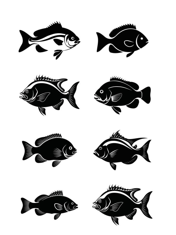Fish Illustration Set for Fishing T-Shirt Design and Marine Artwork vector