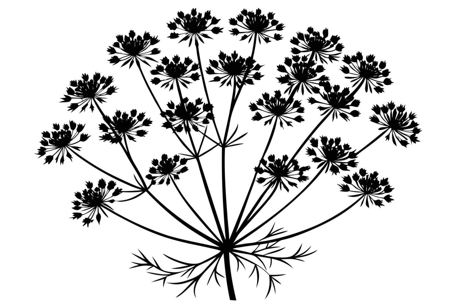 Elegant Black Silhouette of Fennel Flower Blooming in a Serene White Background, Botanical Illustration - Professional digital artwork with vibrant colors and detailed composition vector
