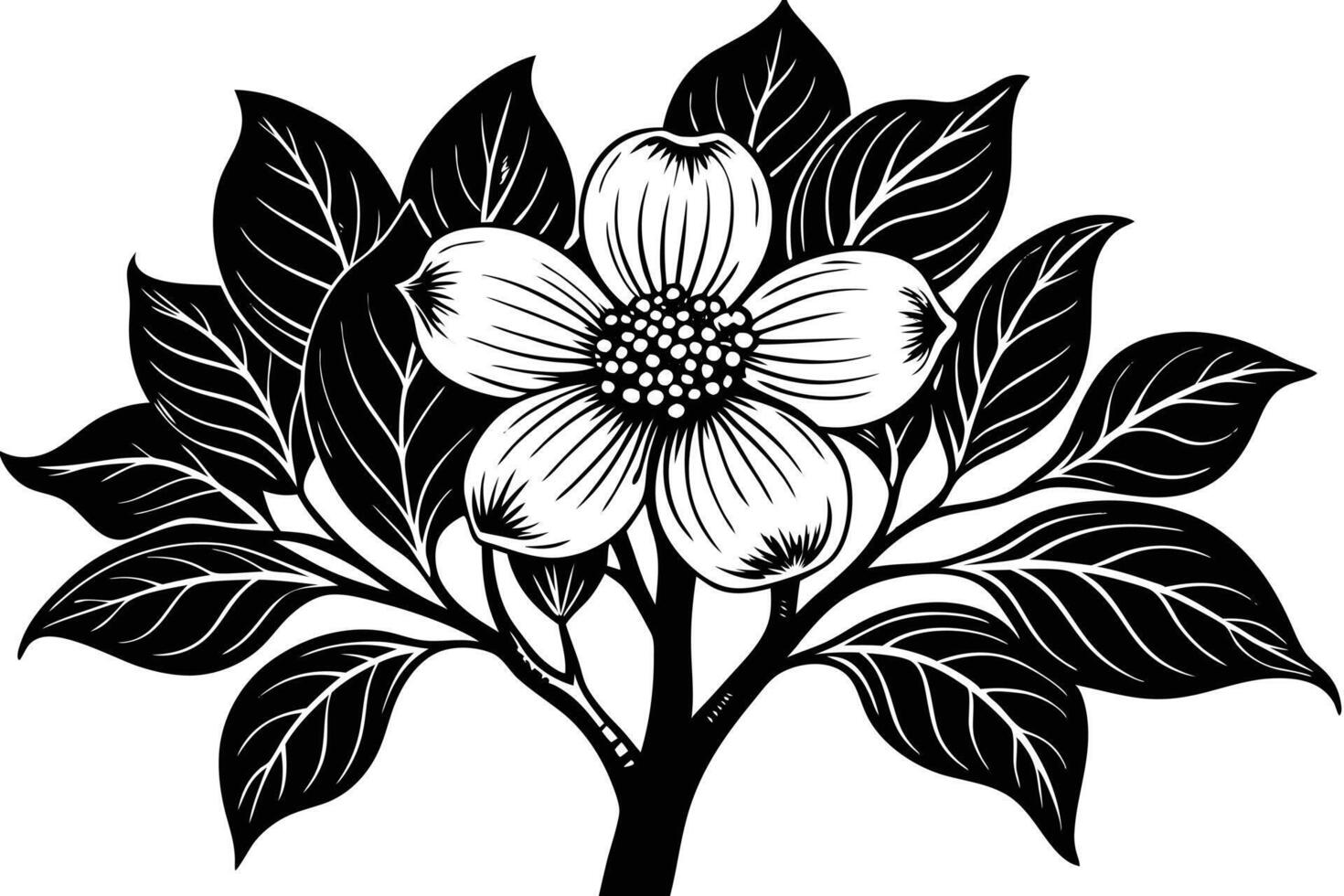 Elegant Black and White Dogwood Blossom Illustration A Detailed Spring Floral Design with Intricate Leaves and Petals, Perfect for Botanical Prints vector