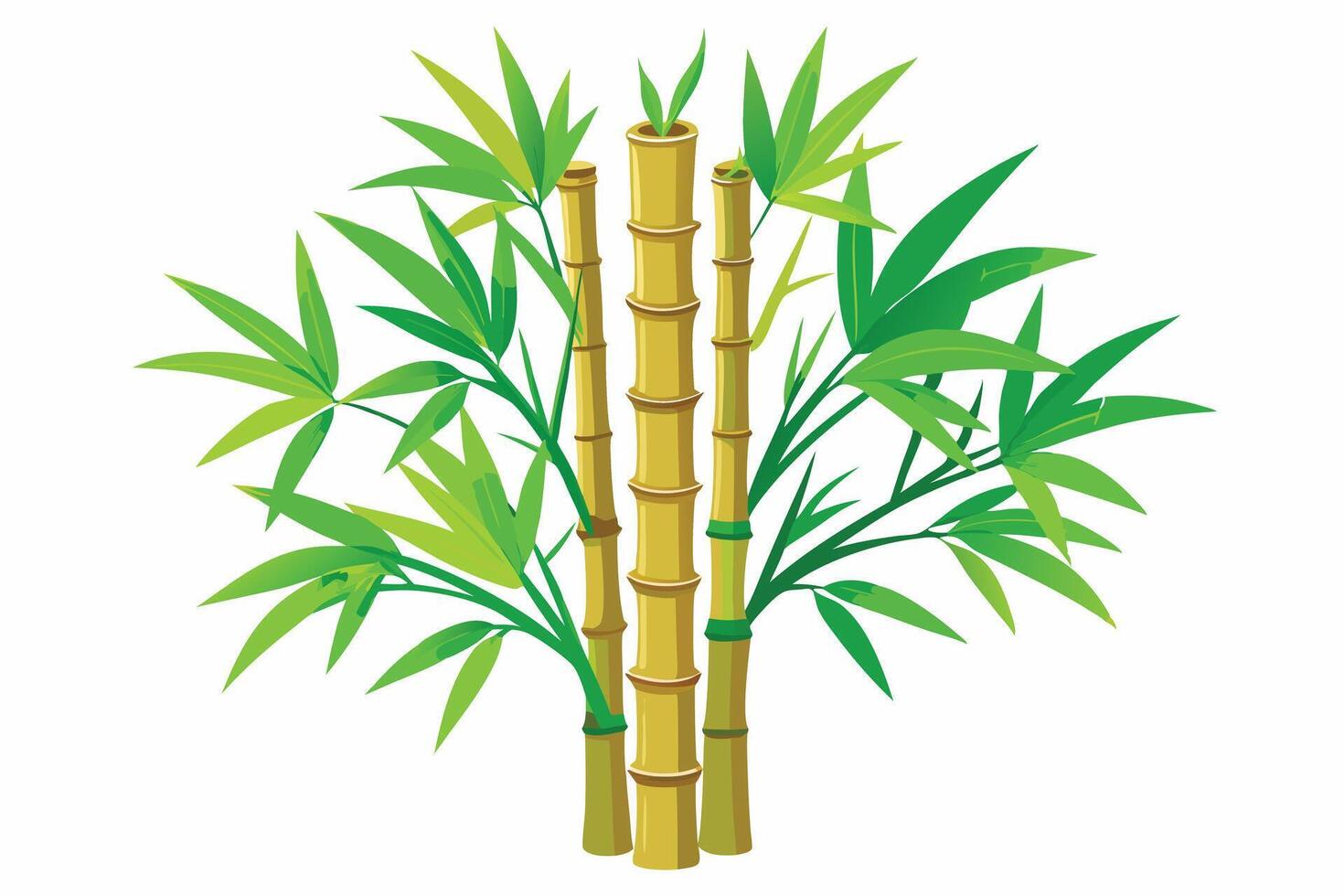 Serene Lush Green Bamboo Forest Illustration Vibrant, Tranquil Asian Bamboo Plants on White Background - Professional digital artwork with vibrant colors and detailed composition vector
