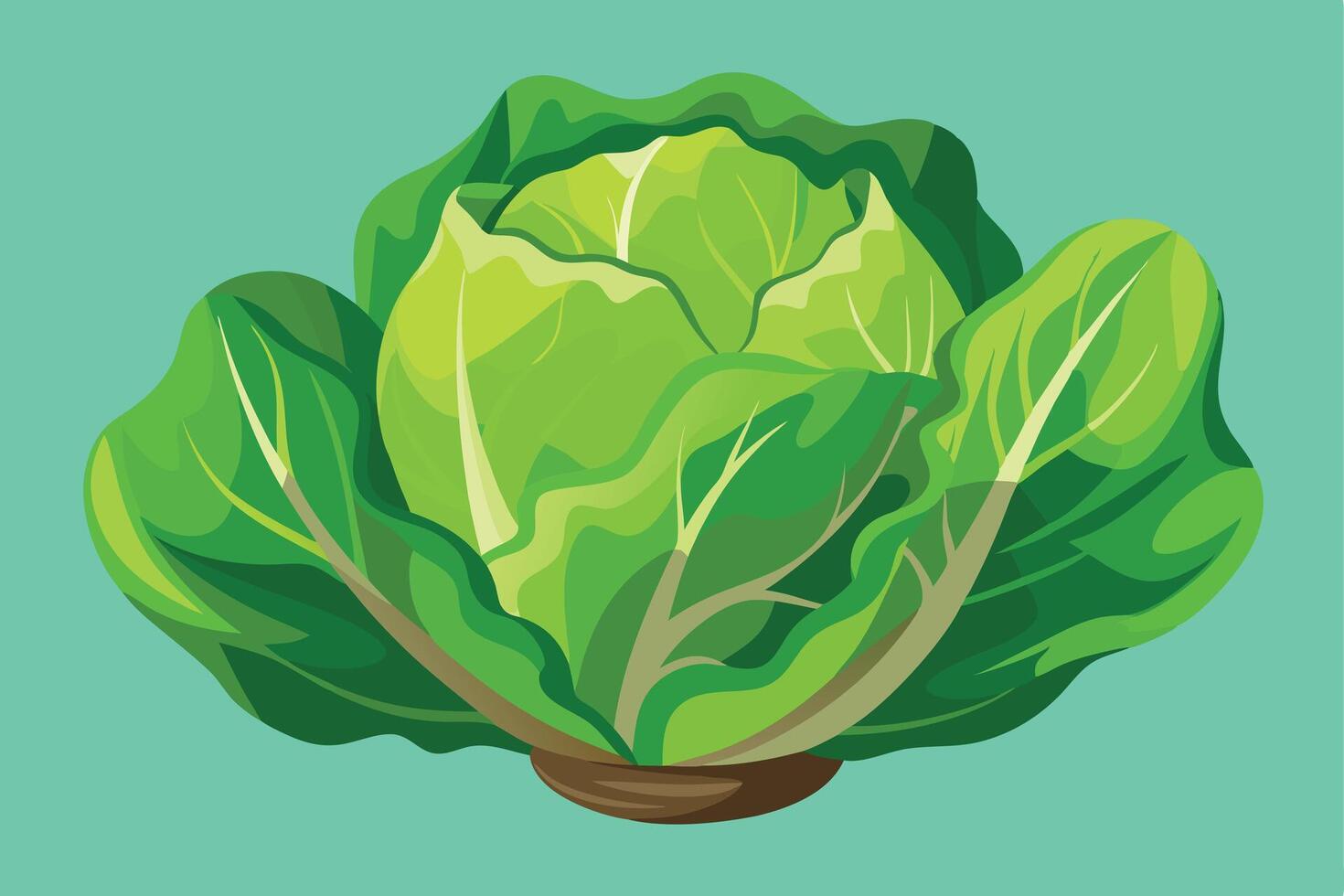 Vibrant Green Cabbage Illustration Fresh, Healthy, and Juicy Vegetable on Teal Background - Professional digital artwork with vibrant colors and detailed composition vector