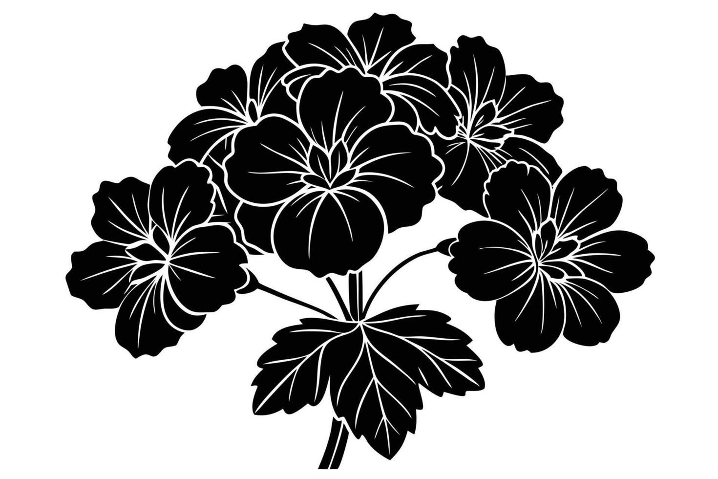 Elegant Black and White Geranium Flowers Blooming in Dramatic Silhouette, Artistic Floral Illustration - Professional digital artwork with vibrant colors and detailed composition vector