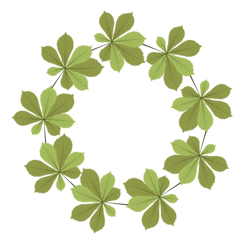 Hand drawn green chestnut leaf circle frame vector