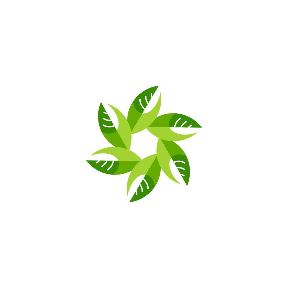 A green leaf logo design vector