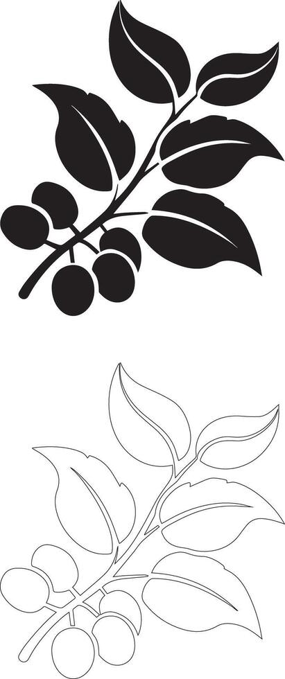 coffee day coffee plant branch icon set with leaf and berry silhouettes solid and outline vector