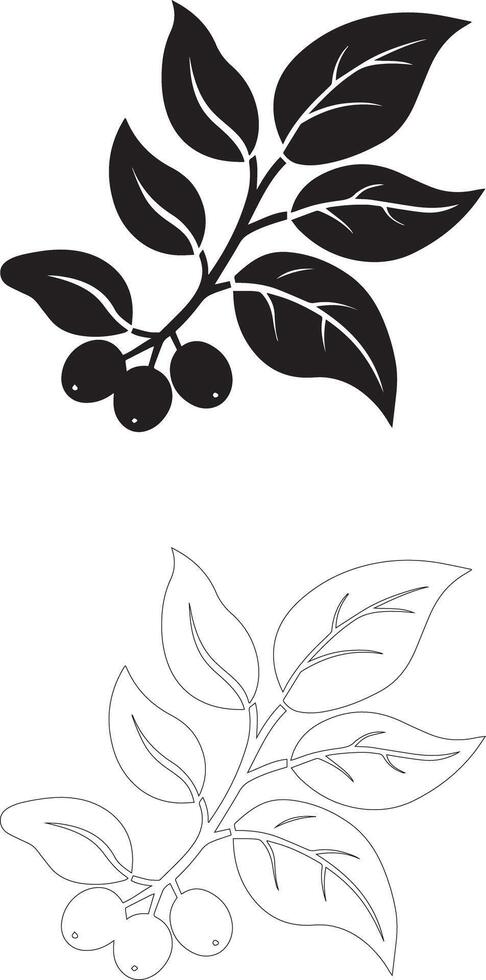 coffee day coffee branch icon set solid and outline silhouettes with leaves and berries vector