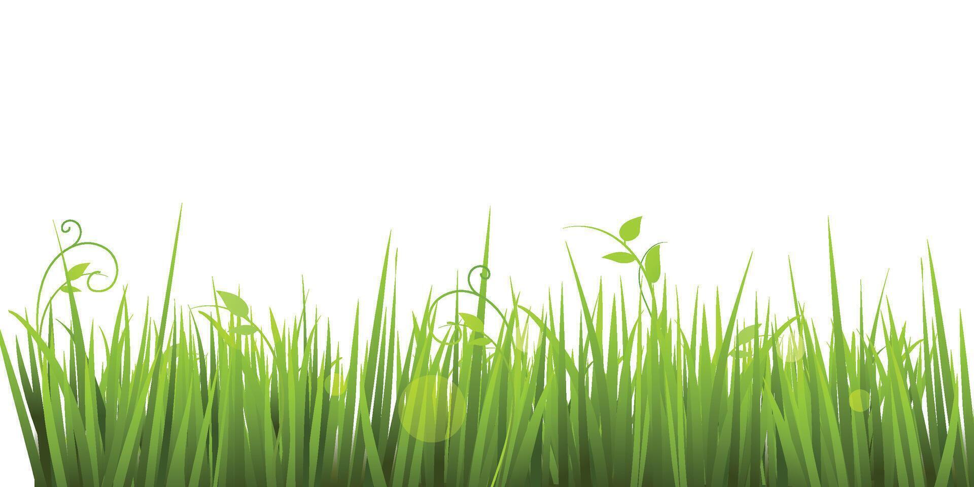 green grass borders, seamless horizontally, isolated on white background vector