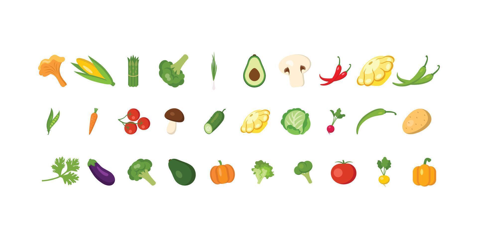 variety of fresh vegetables displayed together vector