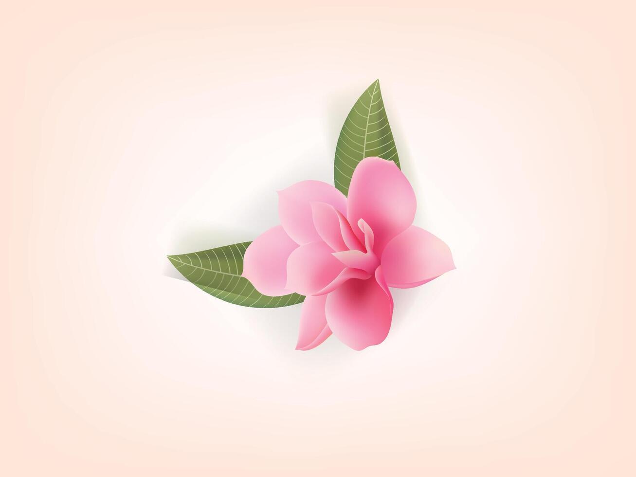 Pink flower with green leaves vector
