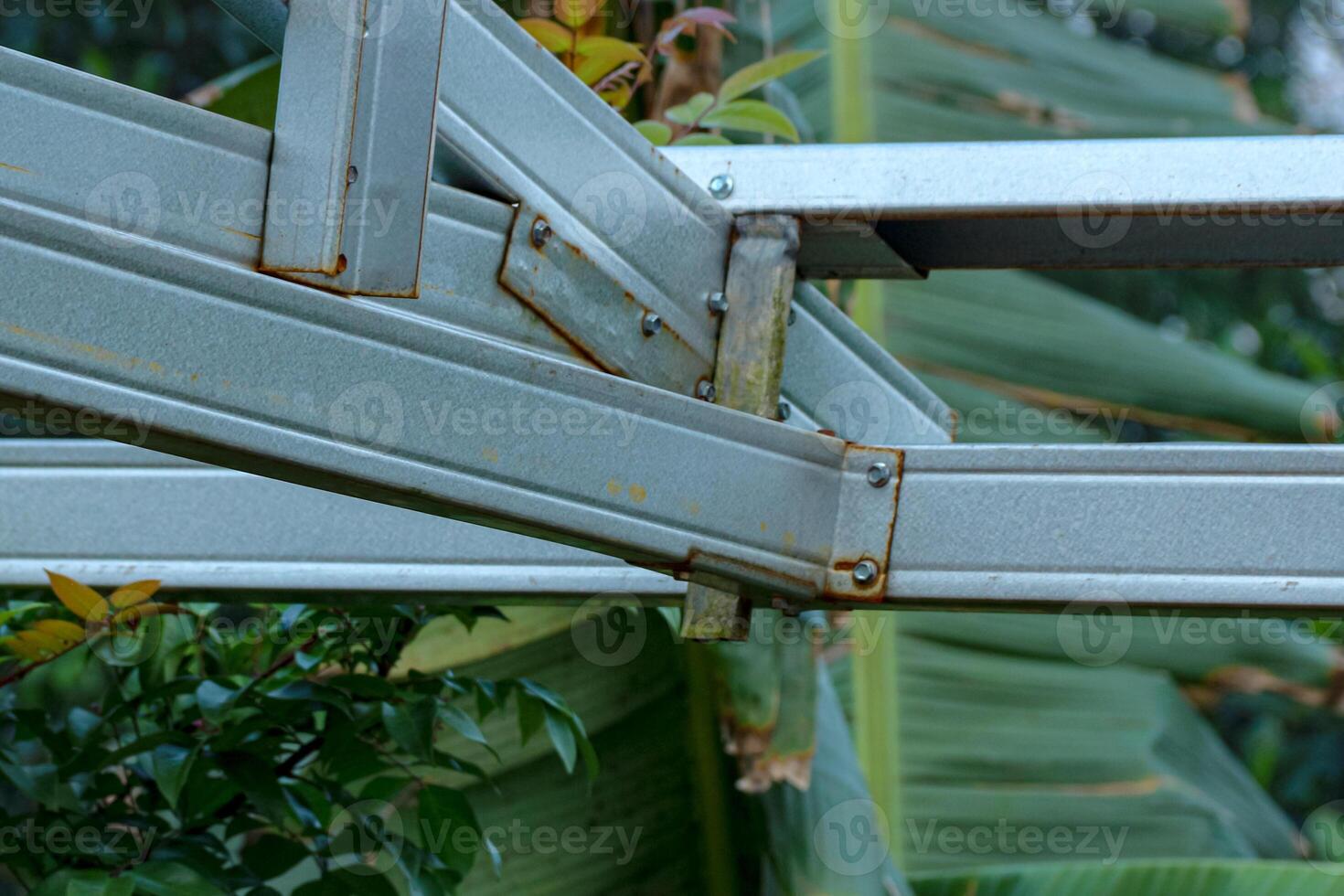 Metal Structure with Greenery Abstract View of Frame photo