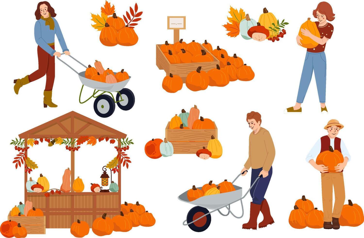 People harvesting pumpkins at market vector