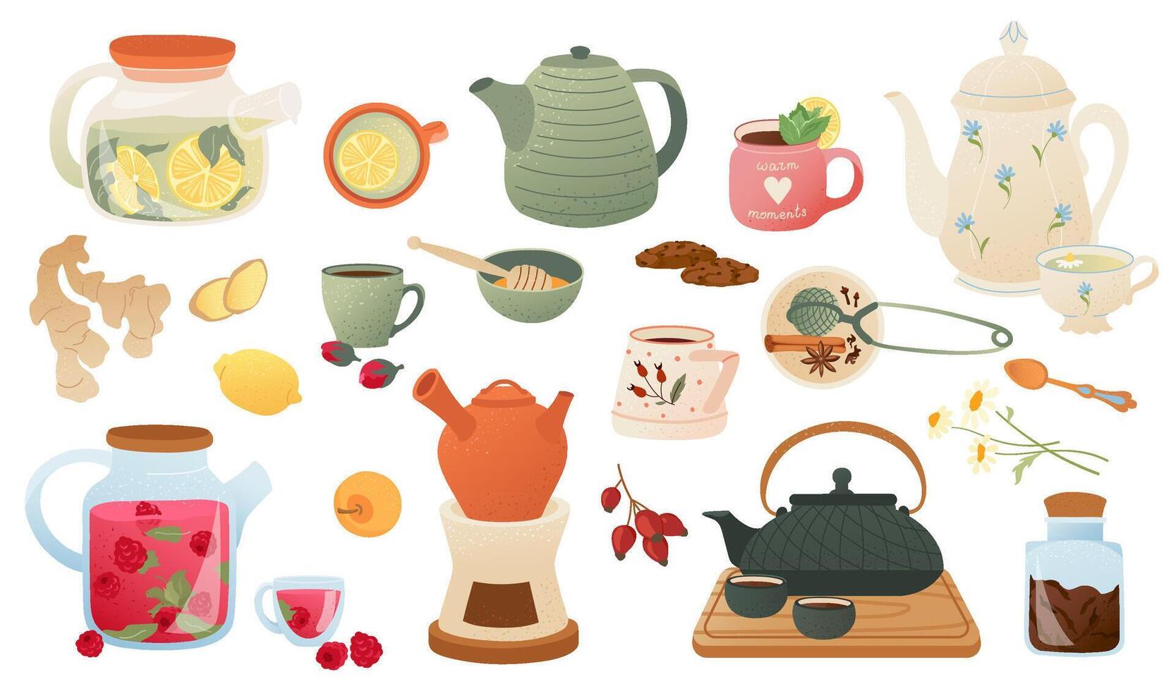 assorted tea pots and ingredients vector