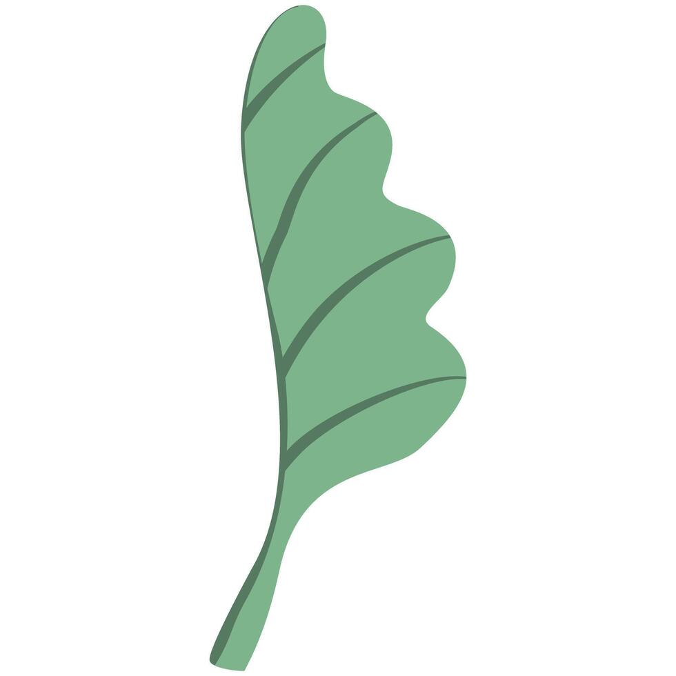 cute leaf hand drawn vector