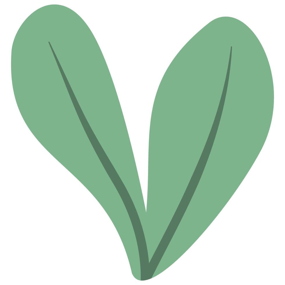 green leave cartoon vector