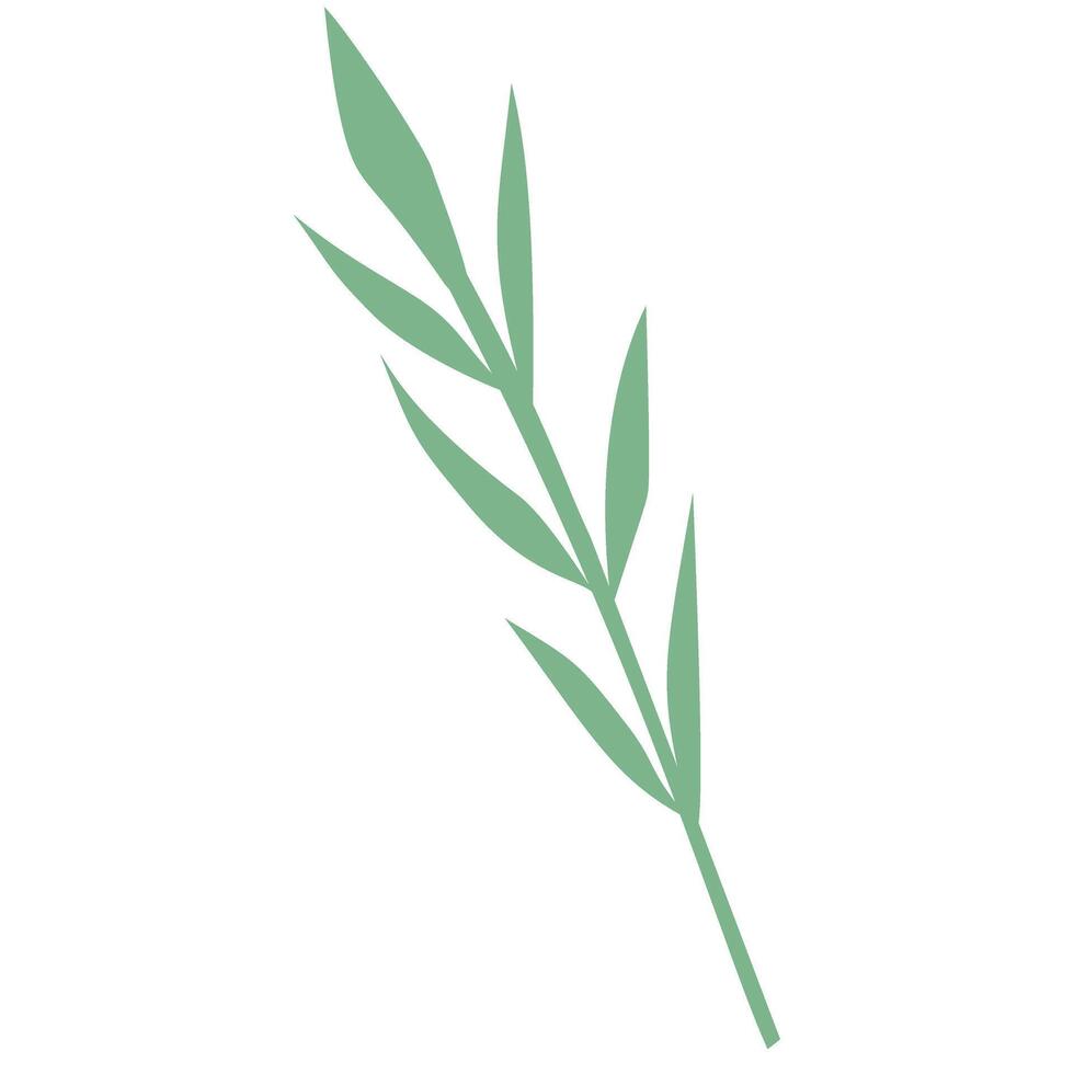 green leave hand drawn vector