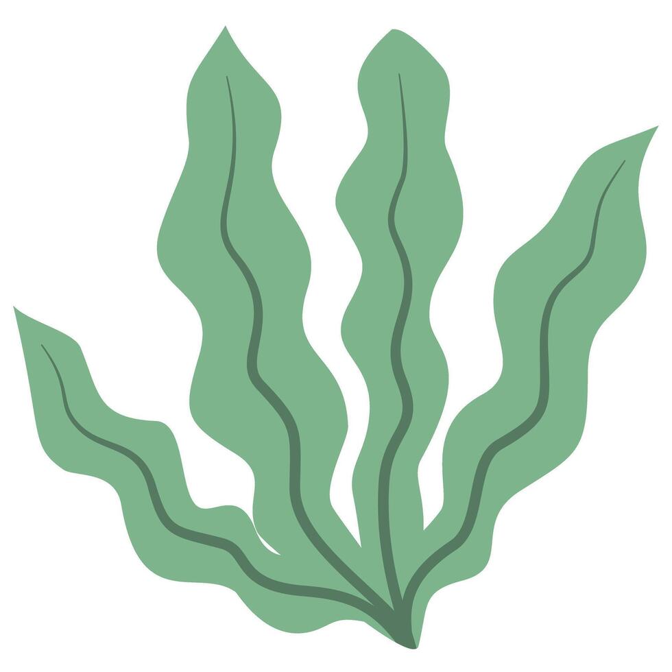 spring green leaf vector