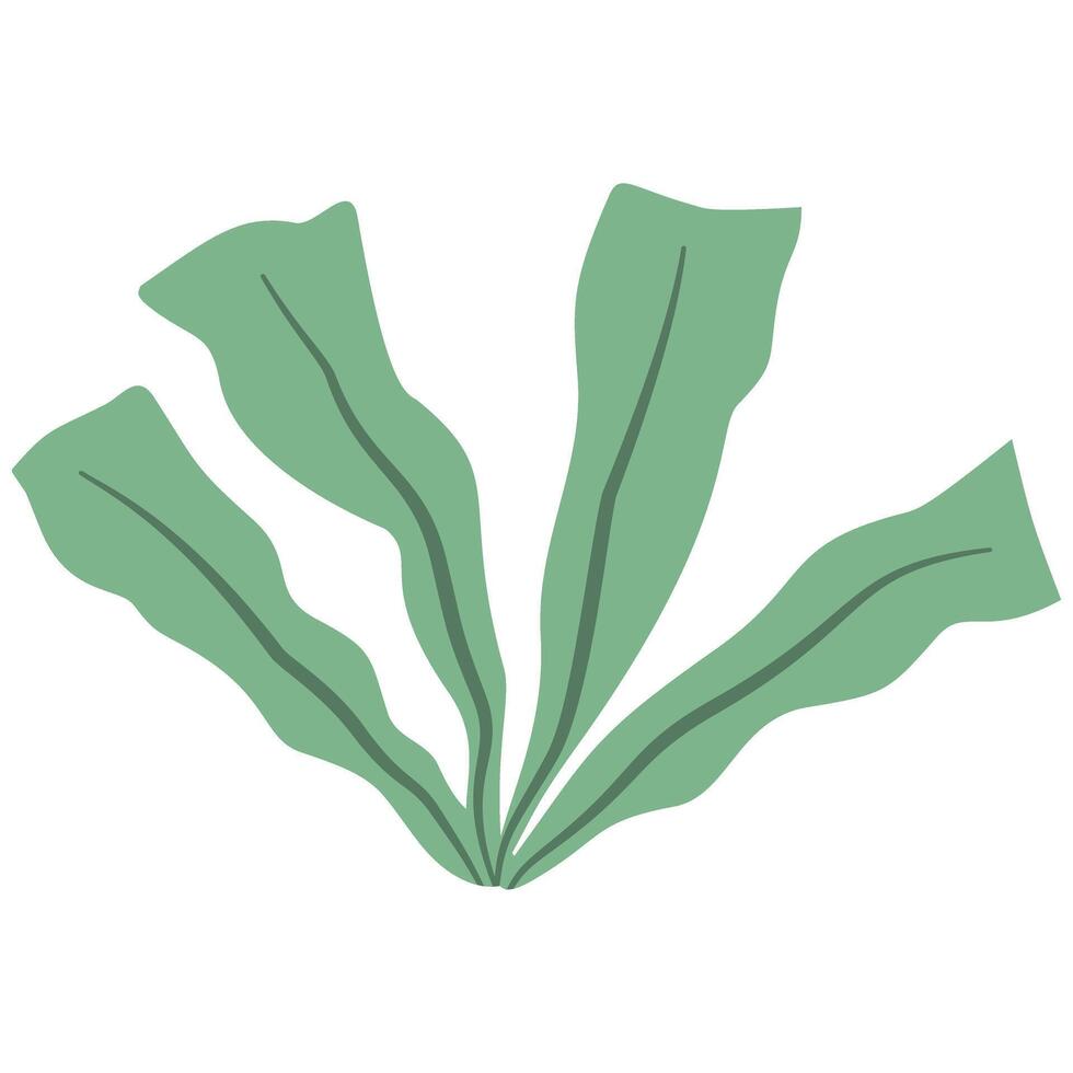 green leaf plan vector
