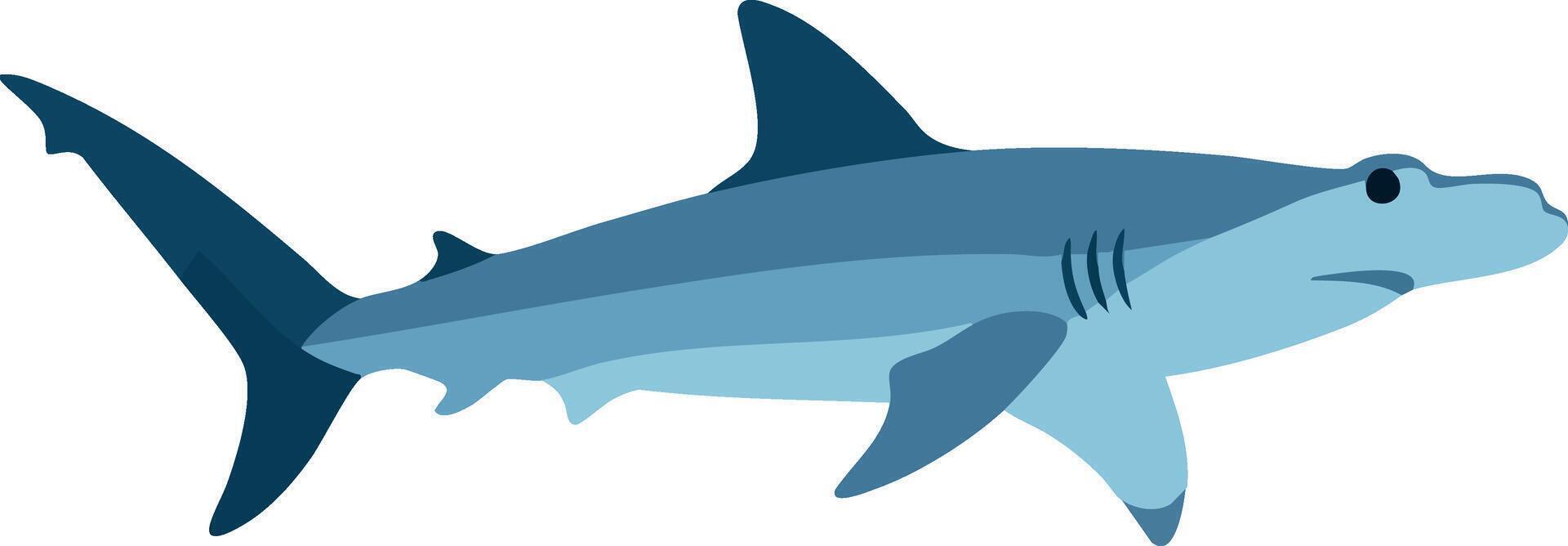 Hammerhead shark illustration in blue shades swimming underwater ocean animal design vector