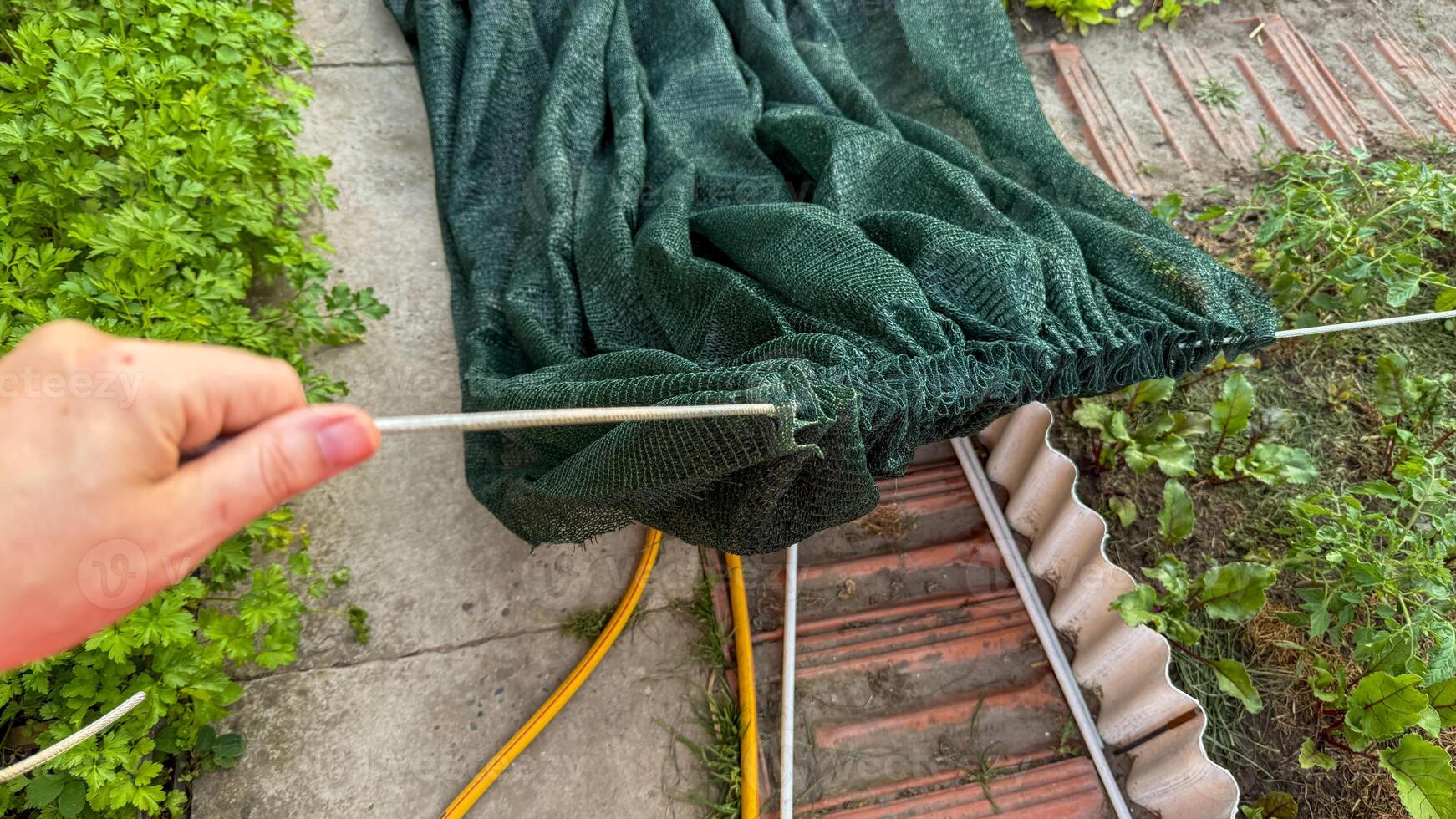 A hand pulls a verdant gardening tarp taut, heralding Earth Day rejuvenation and serene horticultural zen in suburbia photo