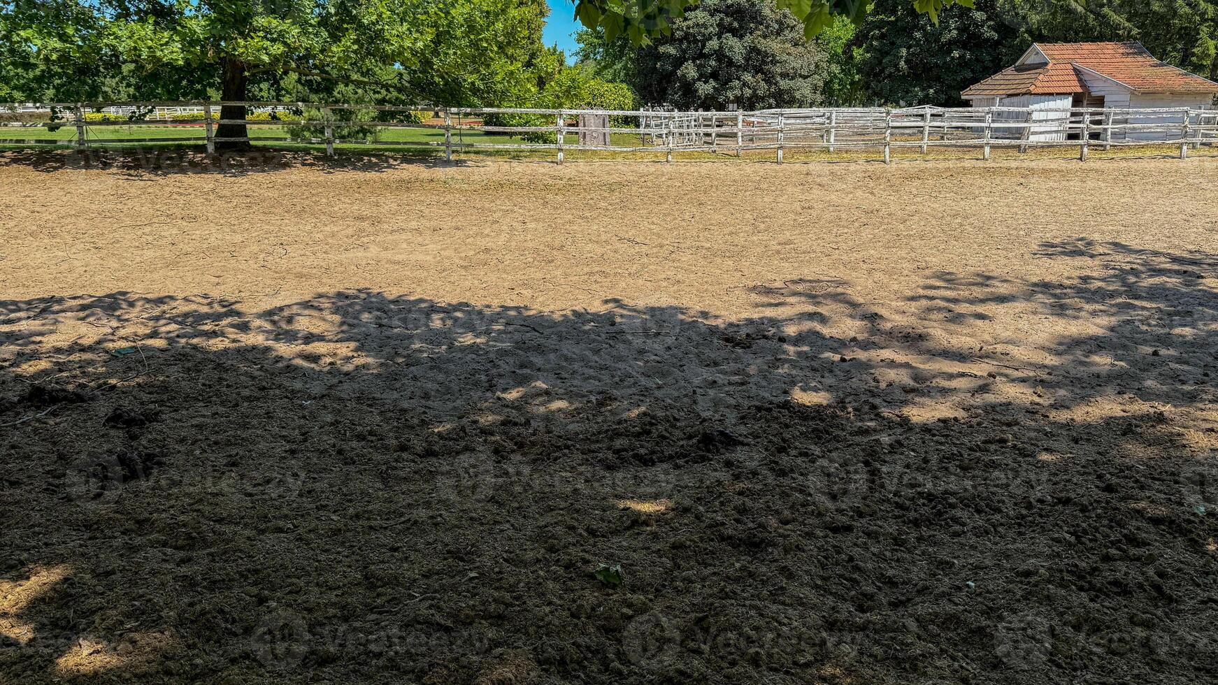 Expansive sunlit paddock whispers tales of rural tranquility, linking Arbor Day serenity to Agrarian Festival traditions photo