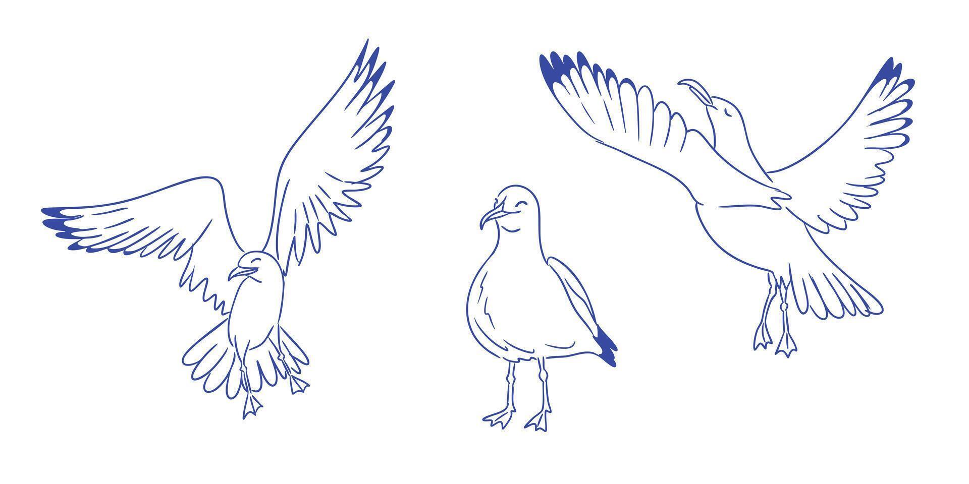 Set of hand drawn seagulls in different poses, flying and standing, with minimal blue line art style. Concept of freedom, coastal life, and light natural elegance. vector