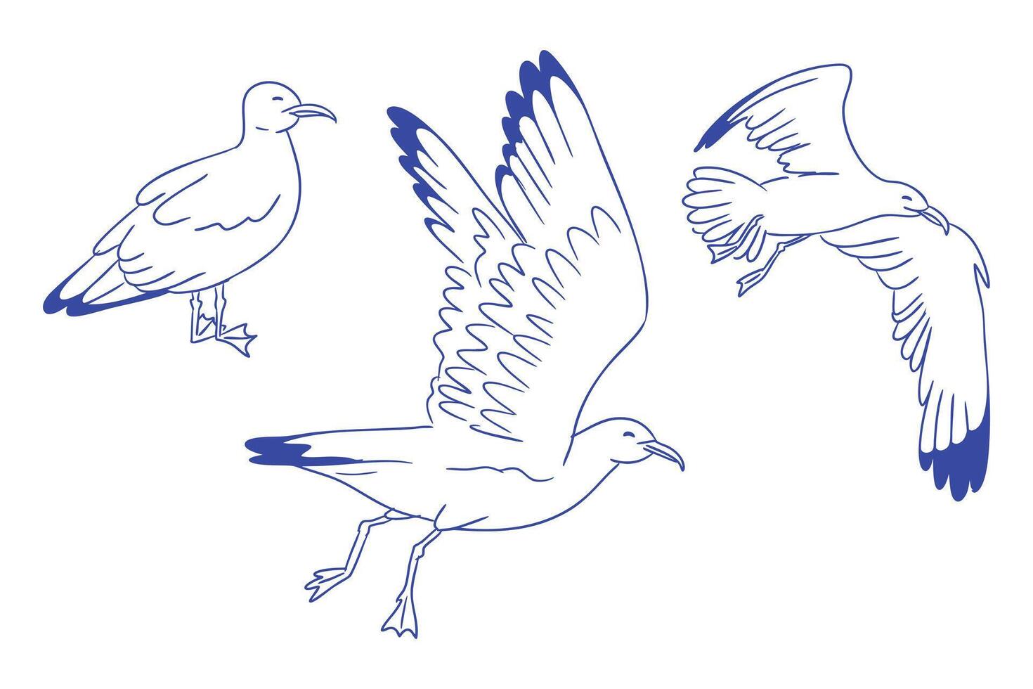 Seagull birds in different poses, hand drawn in simple linear style. Concept of freedom, seaside life and natural movement. vector