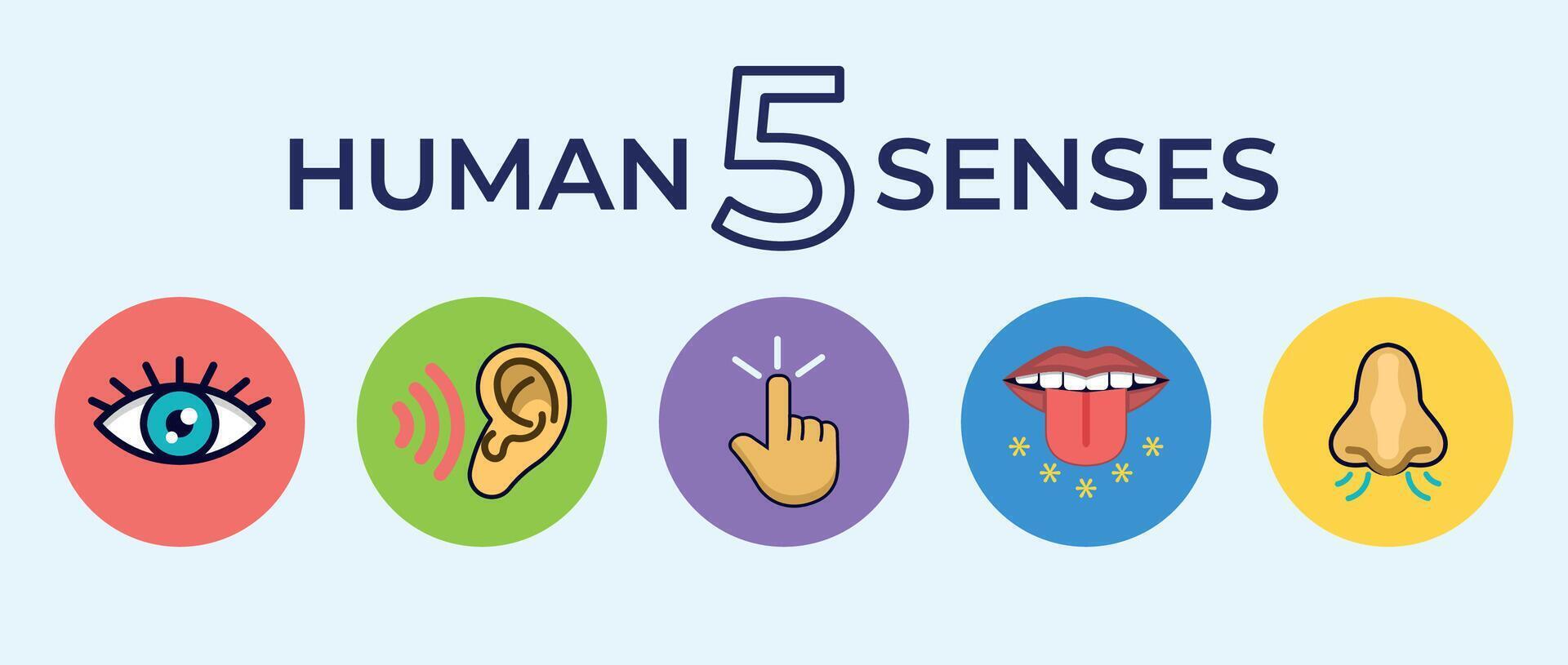 Five Senses Icon Set. Symbolic Design Representing Human Senses Sight, Smell, Hearing, Taste, and Touch vector