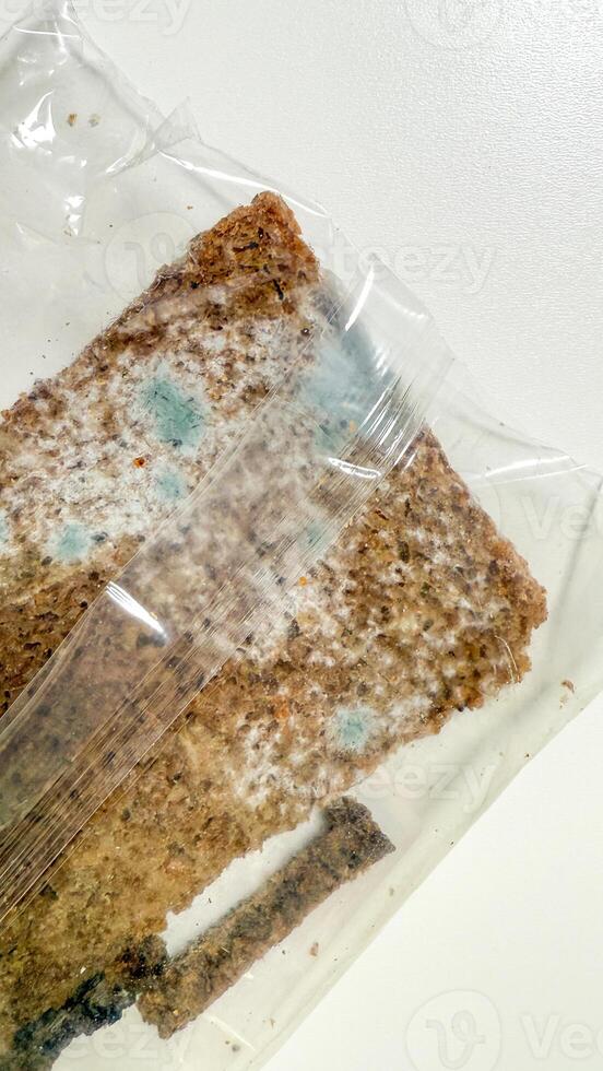 Moldy sandwich in plastic prison, forgotten culinary relic, resembling post apocalyptic snack, evokes Earth Day reflections and Misfit Day photo