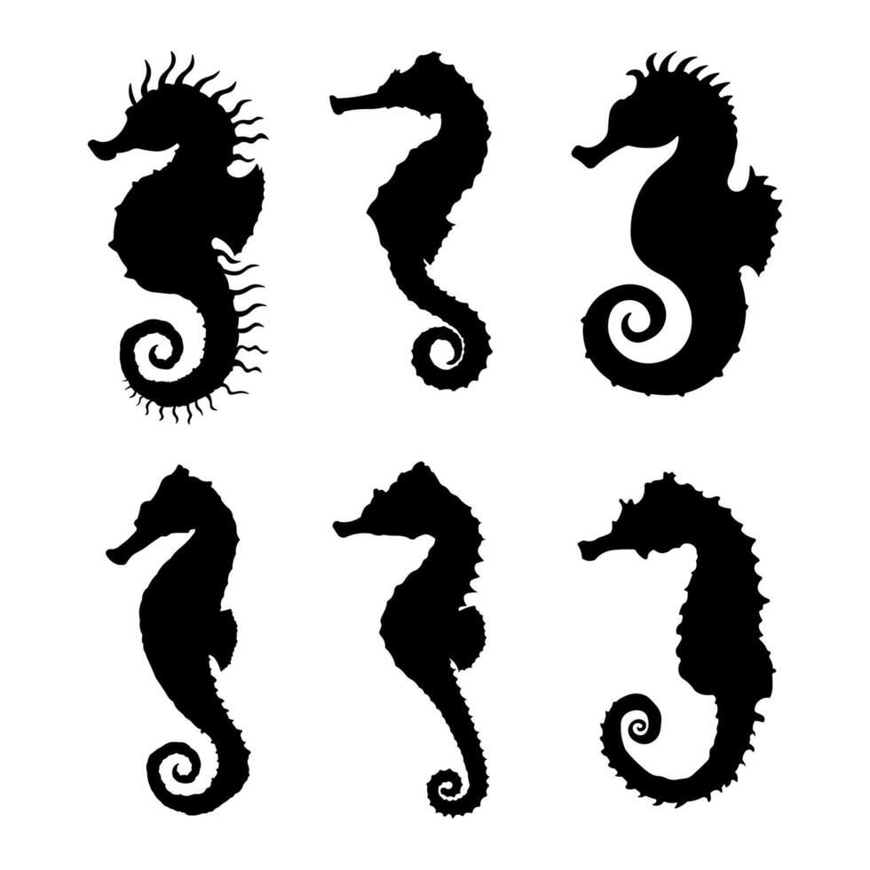 Collection of Seahorse Silhouettes - Black Sea Animal Icons Isolated on White Background vector