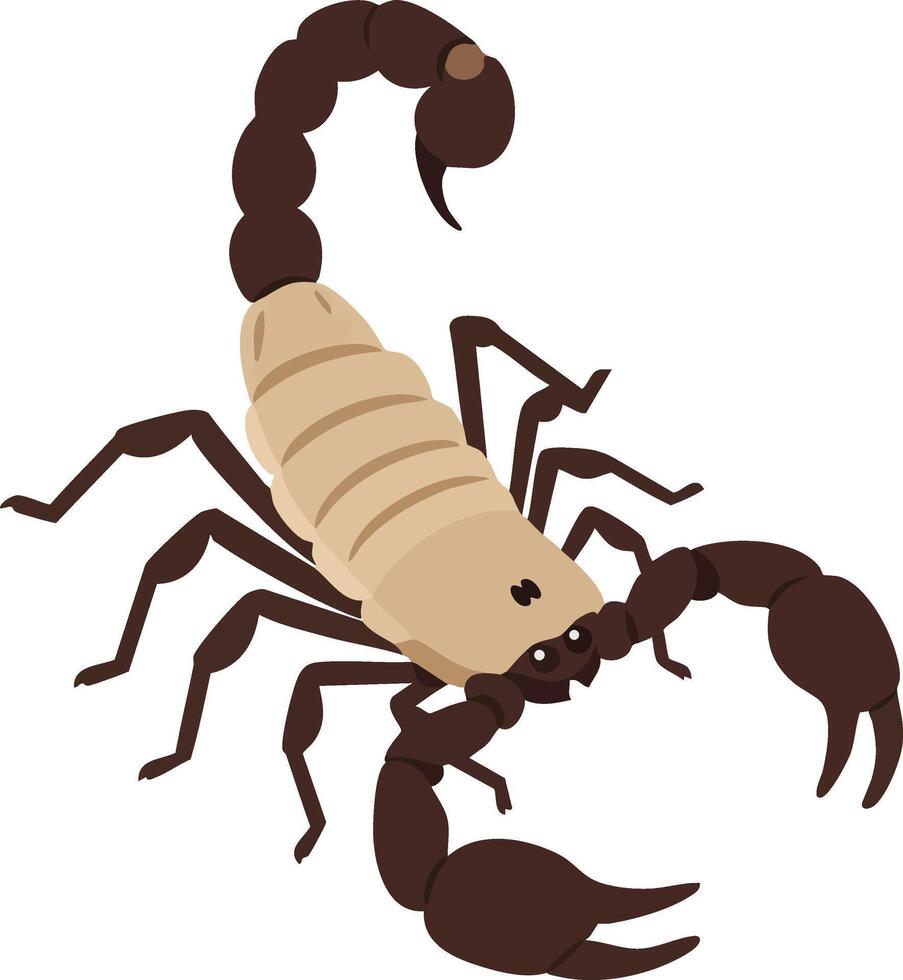 Scorpion illustration with beige body and dark brown pincers and tail in simple style vector